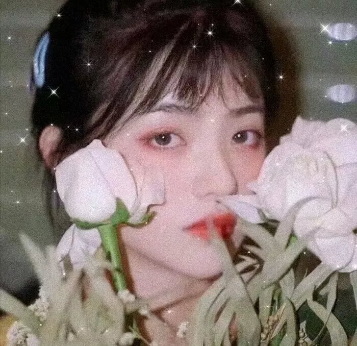 孩子与狗